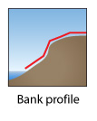 Bank profile