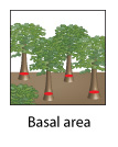 Basal area