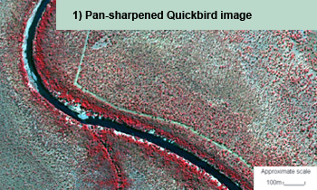 Pan sharpened Quickbird image