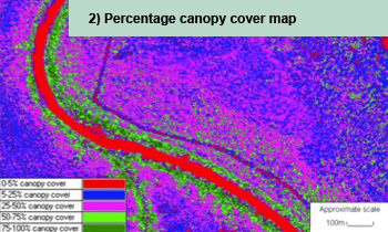 Percentage canopy cover map