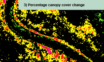 Percentage canopy cover change