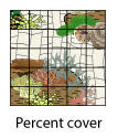 Coral percent cover