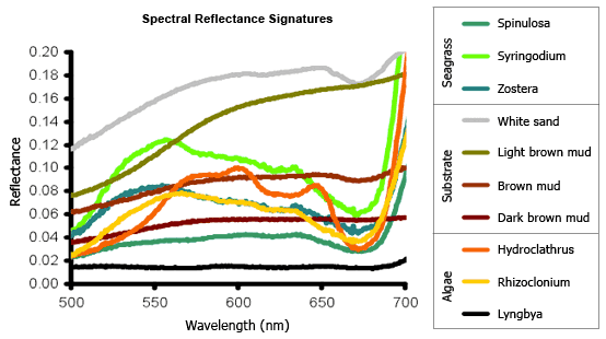 Example spectra