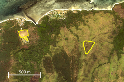Mapped rubble area within live coral