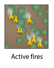 Active fires