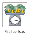 Fire fuel load