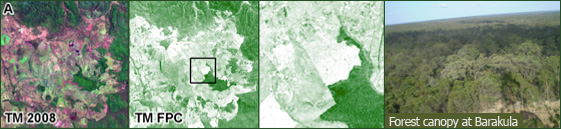 Mapping foliage projective cover (FPC) using Landsat TM imagery in the Barakula State Forest