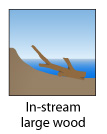 In-stream large wood