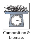 composition and biomass