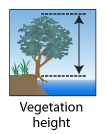 Vegetation height