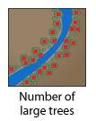 Number of large trees