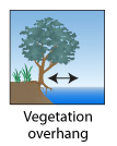 Vegetation overhang