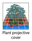 Plant projective cover
