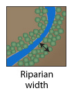 Riparian zone width