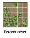 Seagrass percent cover