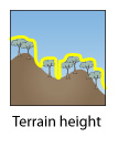 Terrain height