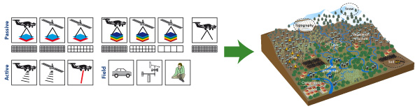 Graphic sequence option 2